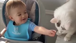 Unbelievable friendship of cats with babies 🐈💒🎁