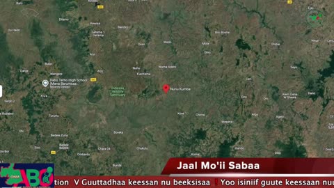 Oduu Waaree ONM-ABO Sadaasa 13-2024 itti dhiyaadhaa!