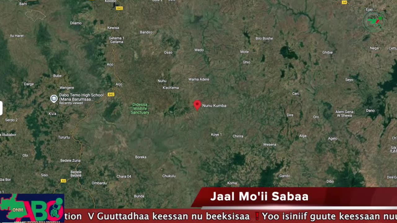 Oduu Waaree ONM-ABO Sadaasa 13-2024 itti dhiyaadhaa!