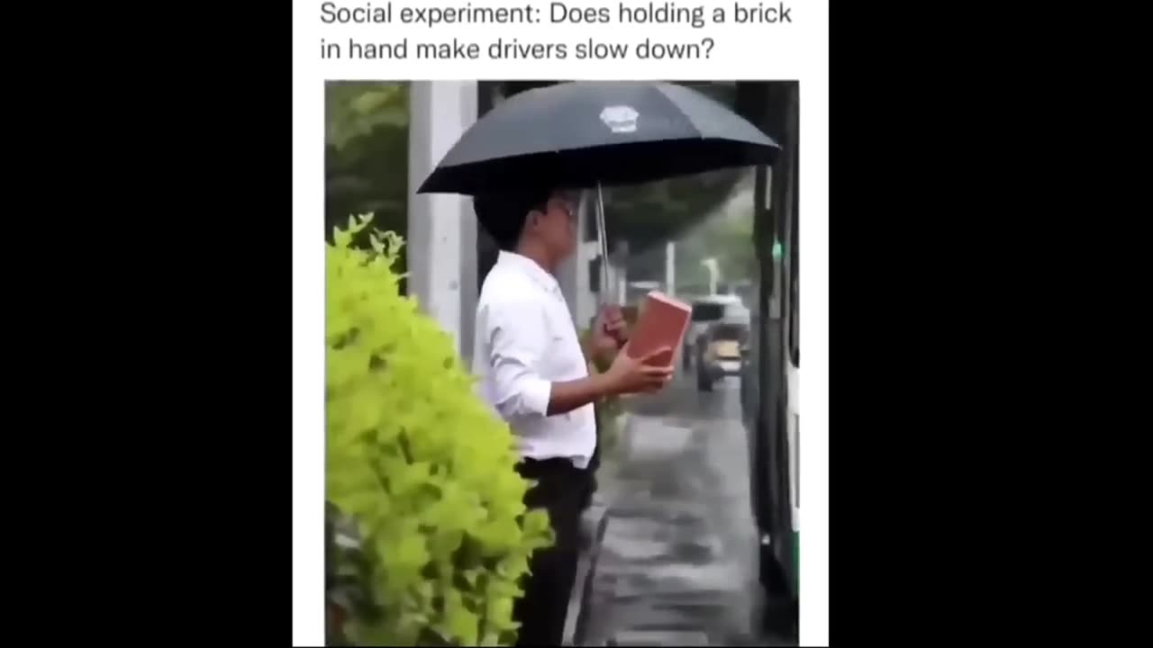 social experiment