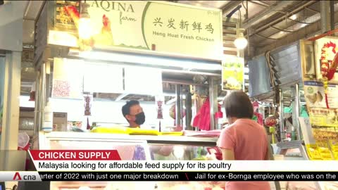 Malaysian Health Minister on plans to resolve chicken shortage