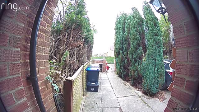 Toddler Gets Excited Hearing Fathers Voice Through Doorbell