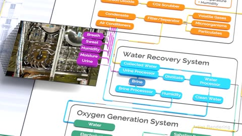 Onboard Artemis I: Studying Yeast Cells in Space