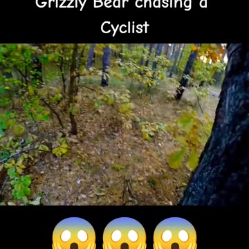 Bear chasing a cyclist..OMG