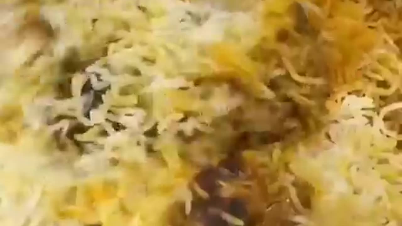 Biryani biryani