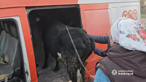 "White Angels" and volunteers evacuated a family from Torske