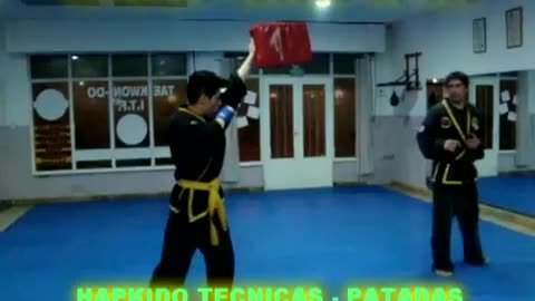 Hapkido