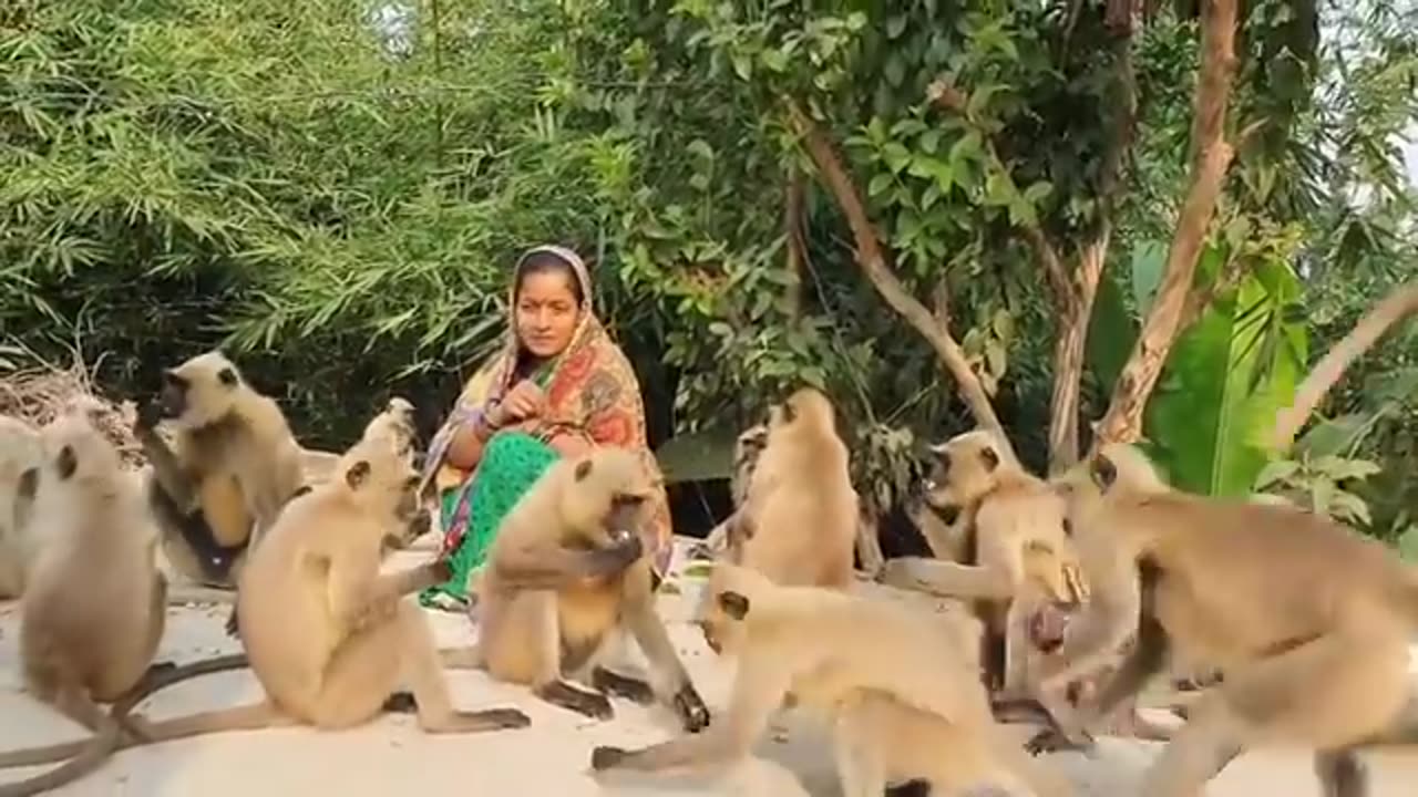 Woman has great Love for monkey 🐒