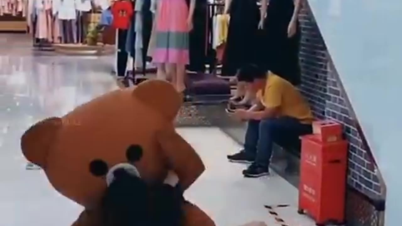 Bear funny video 😅😅