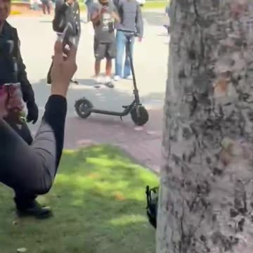 MEANWHILE LOCAL NEWS TODAY: 4/24/2024 AT THE UNIVERSITY OF SOCAL!!🚨👀🚨