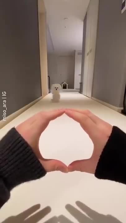 Joe Rogan and James Lindsay agree that labeling people like Tim Pool and James O'Keefe