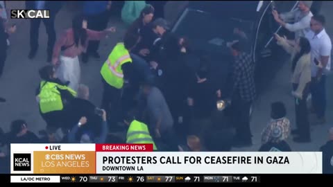 INSANE: Fight Breaks Out On Highway After Pro-Palestinian Protestors Block Traffic