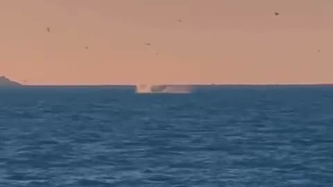 BALLENA EN PEÑUELAS