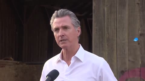 California Gov. Newsom responds to 'border czar' comments on illegal immigration