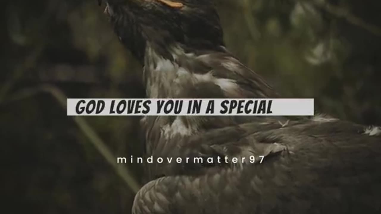motivation
