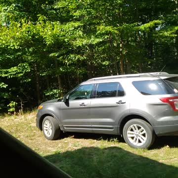 Beautiful hummingbird flying.