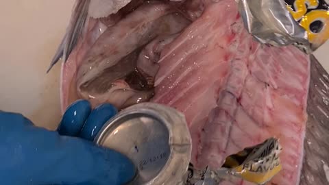 Man Finds Soda Can Inside Cod Fish