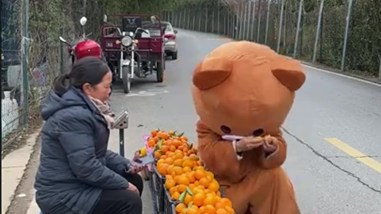 Chinese Funny Pipi Bear Videos