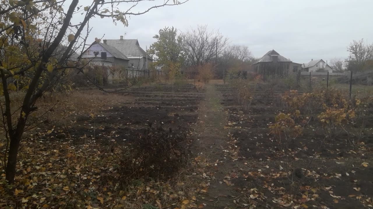 The Big Garden in November