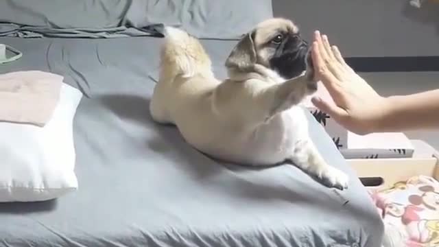 Do morning exercises with maselyn