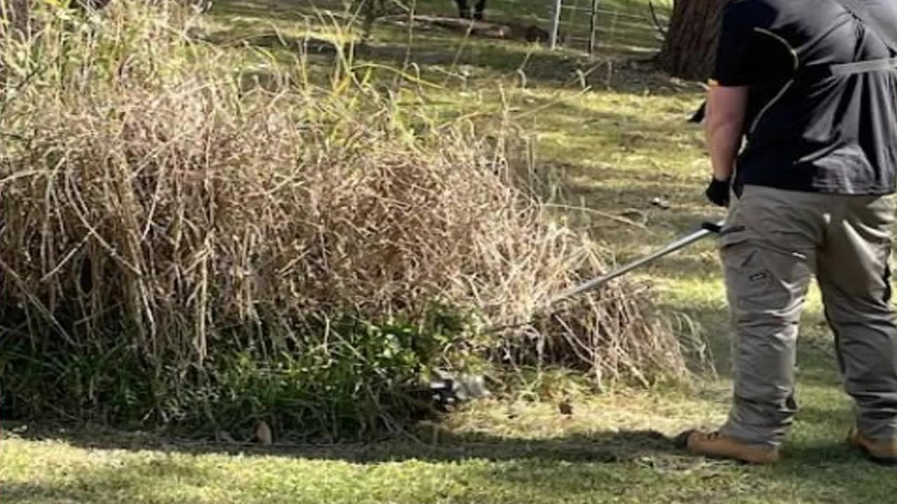 Hedge Trimming in Pitnacree