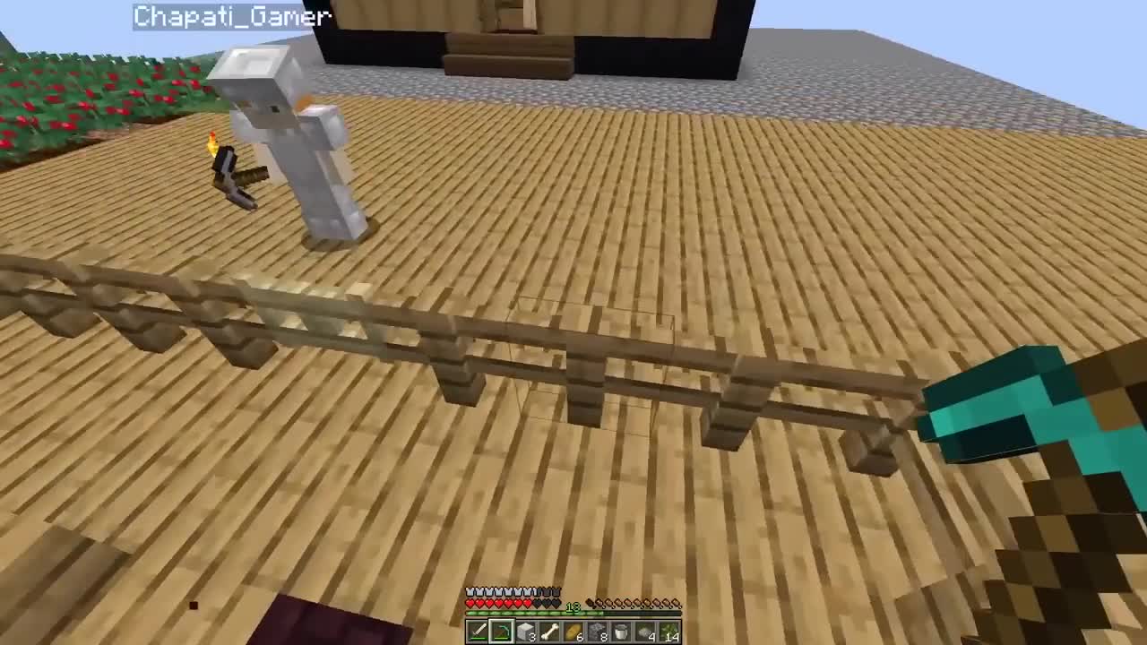 BUILDINGATINYPARROTHOUSEONONEBLOCKp5