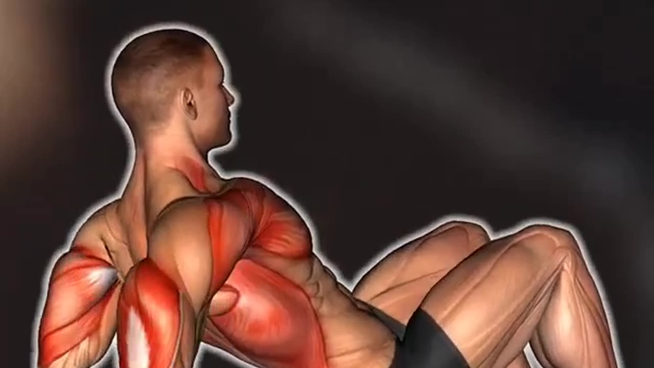 How To Gain Muscle