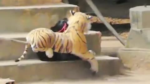 Fake Lion And Fake Tiger prank To Dog