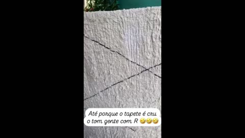 STORIES DA BIFÃO , CRIS DULZ (MÃE DA BIFAO) E DA ANDREA NOBREGA DE 07/12/2024