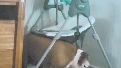 Harley is upset
