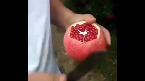 Man Shows How to Cut an Pomegranate. What Happens Next Has Everyone In Disbelief!