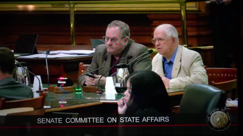 Terry Putnam, one of the originators of HB 5180, testifying before Senate Cmte on Election Integrity