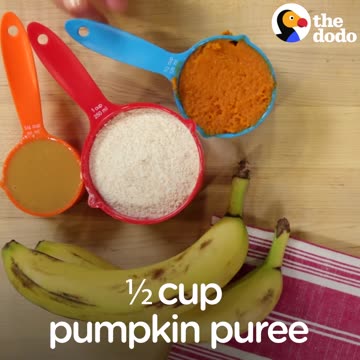 How To Make Dog Treats With 4 Ingredients | The Dodo