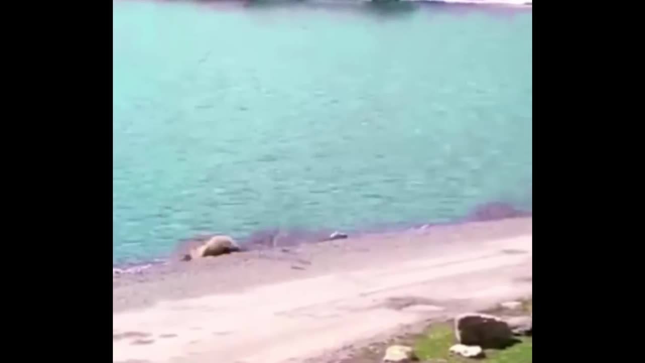 That Raven is such a troll 😄