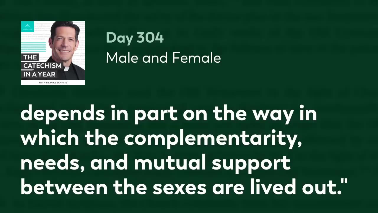 Day 304: Male and Female — The Catechism in a Year (with Fr. Mike Schmitz)