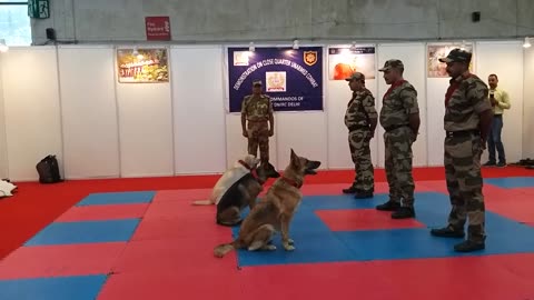 CISF demonstration of dog squad