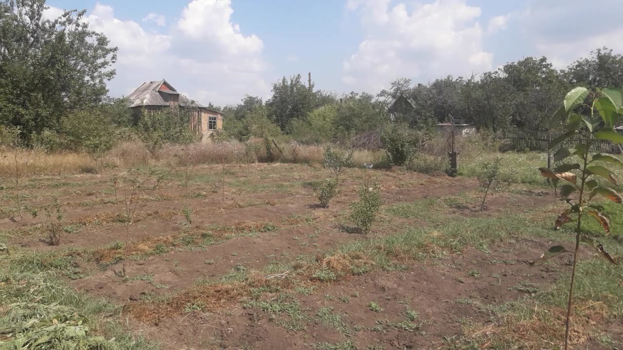 Garden cleared of grass