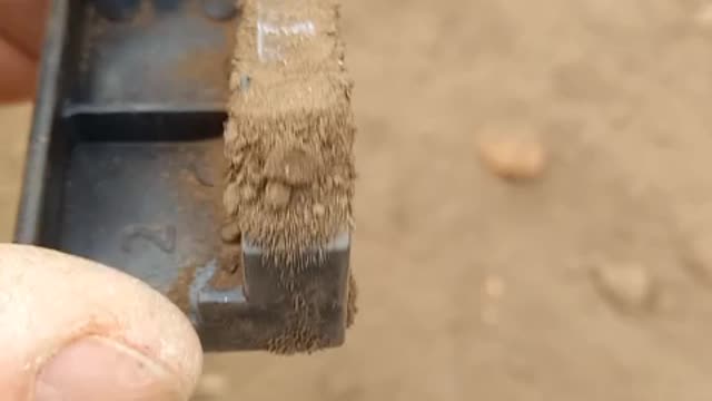 UNA TIERRA MAGNÉTICA CUALQUIERA......