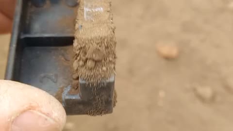 UNA TIERRA MAGNÉTICA CUALQUIERA......