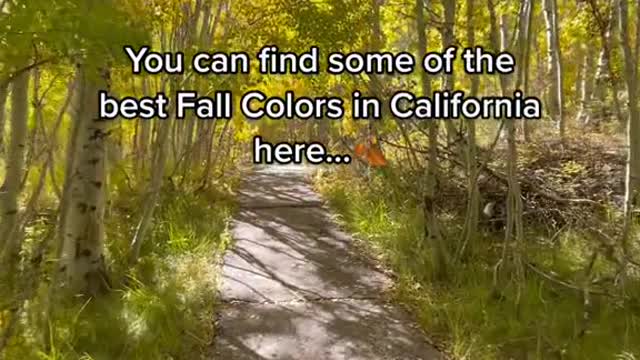 You can find some of the best Fall Colors in California here...