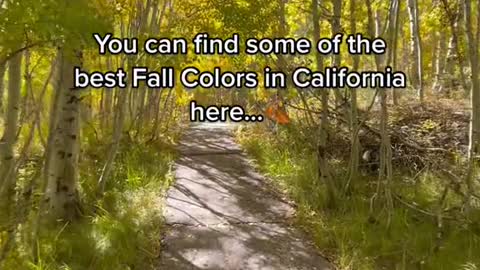 You can find some of the best Fall Colors in California here...