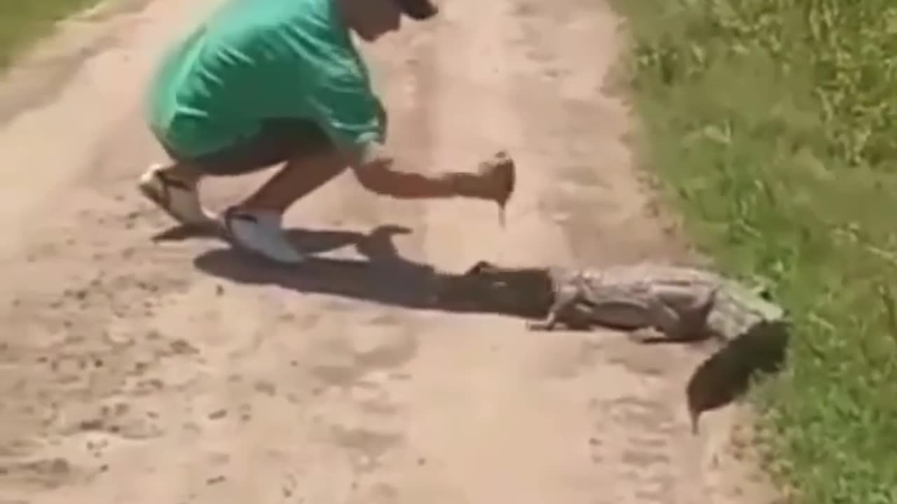 crocodile vs man fight