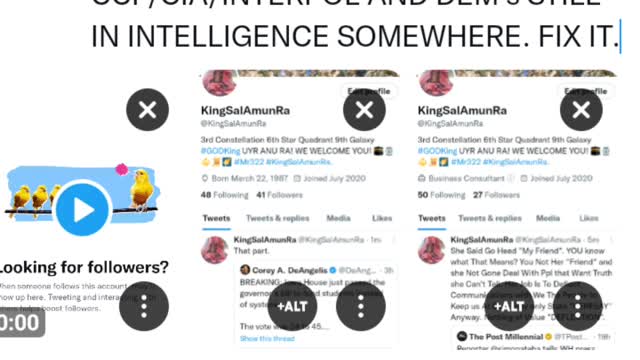 The Alphabet Boys Blocking this Video On Twitter.