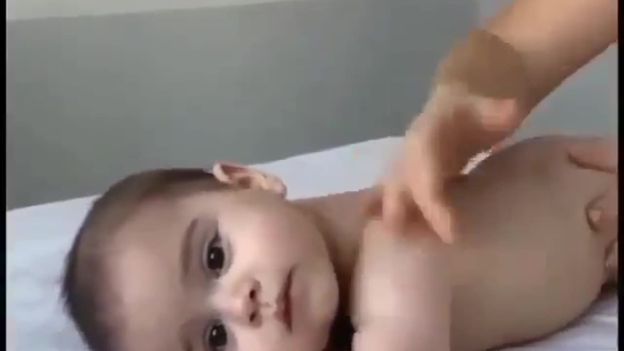 Funny and adorable