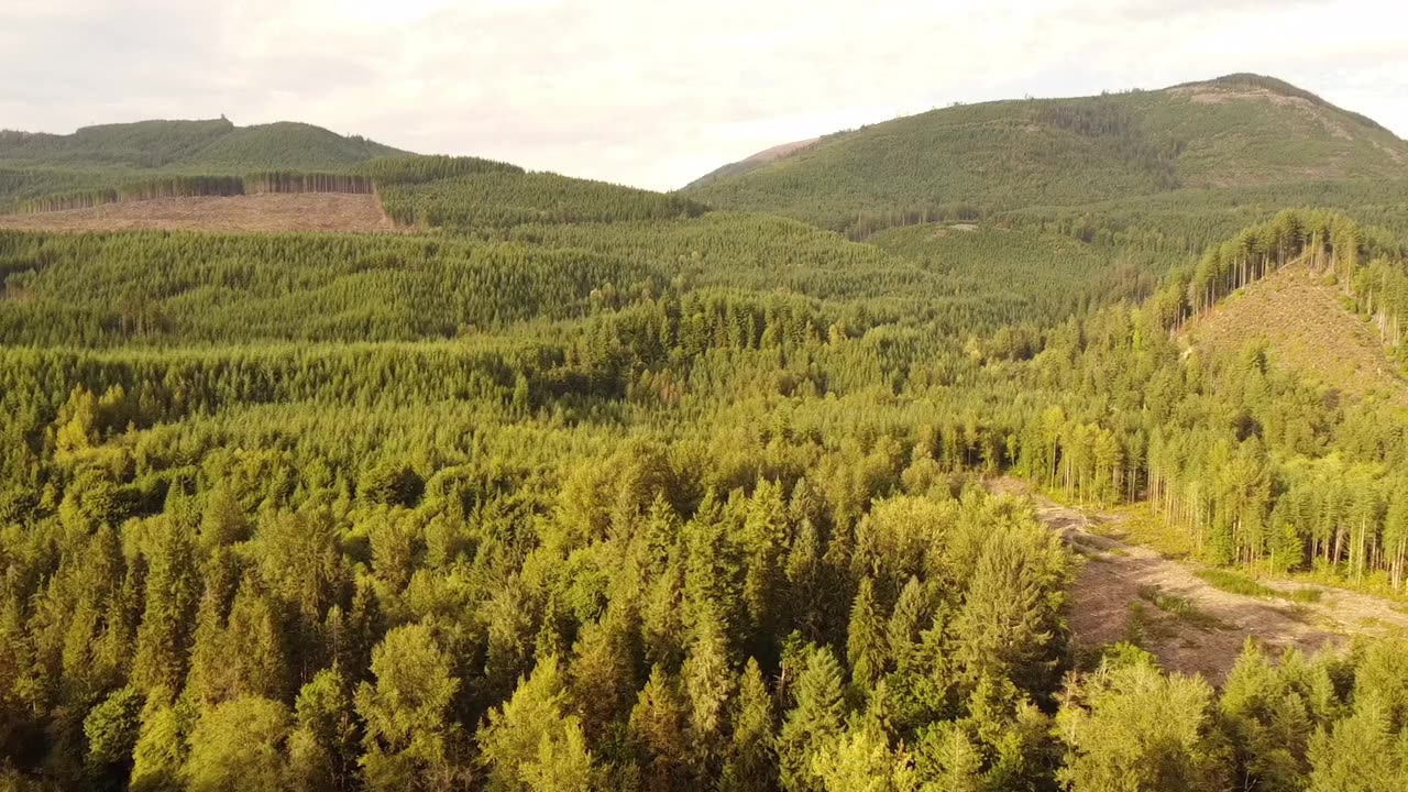 Flying (and crashing) the Cascades