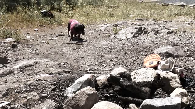 Ep 5. Deleted Scene - Collecting Firewood