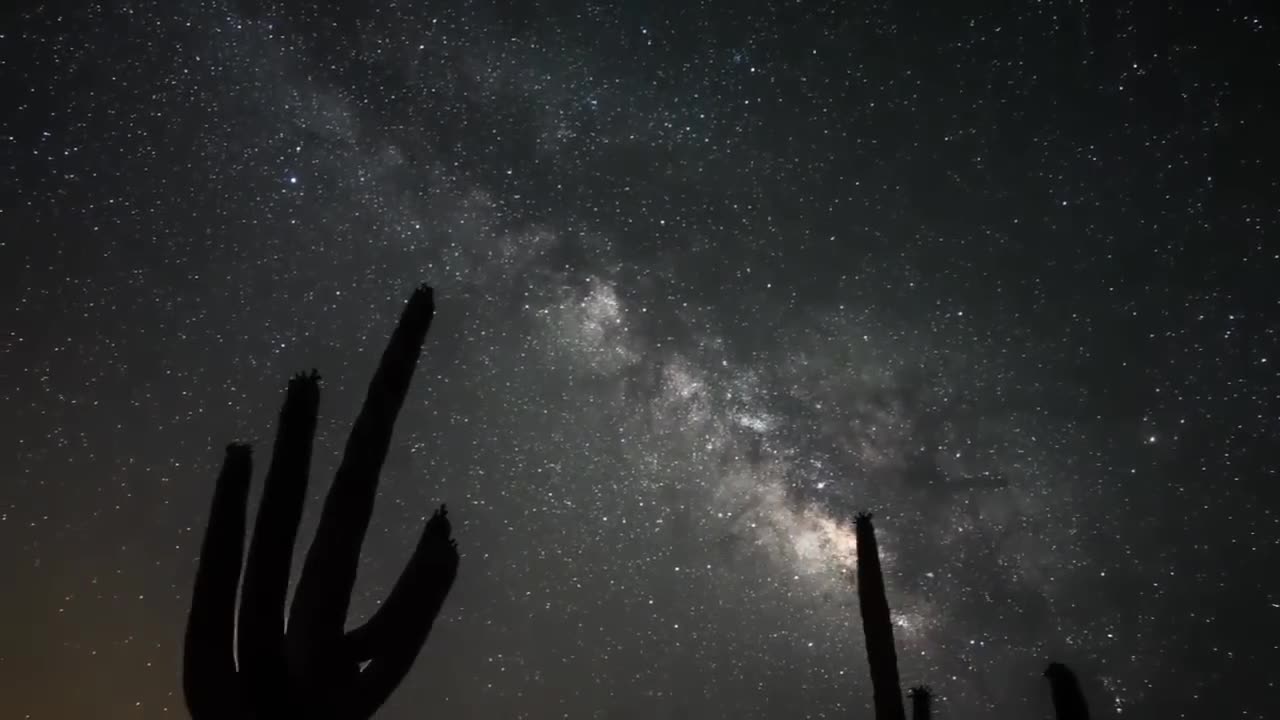 Art Bell MITD - Barbara Mcbeath & Brendan Cook - EVP's