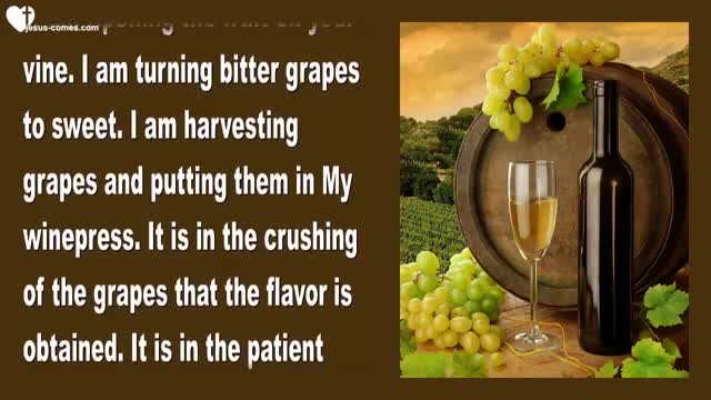 What Satan curses, I bless... Forgive & Let go ❤️ Love Letter from Jesus Christ