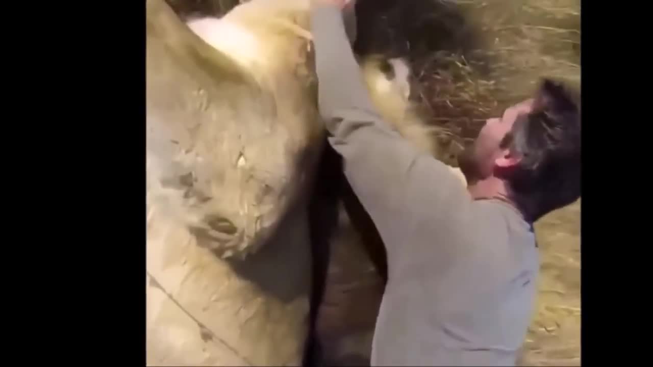 Top 10 amazing video in the world