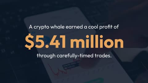 Whales on Hunt, Lessons From Bitcoin Canon, and Nigerians Suffer